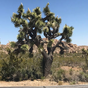 Meet your Posher, Marisol